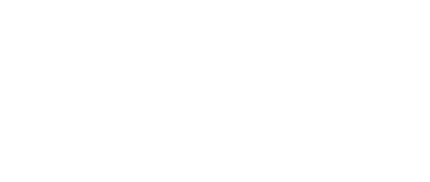 Rapa Consulting Lab